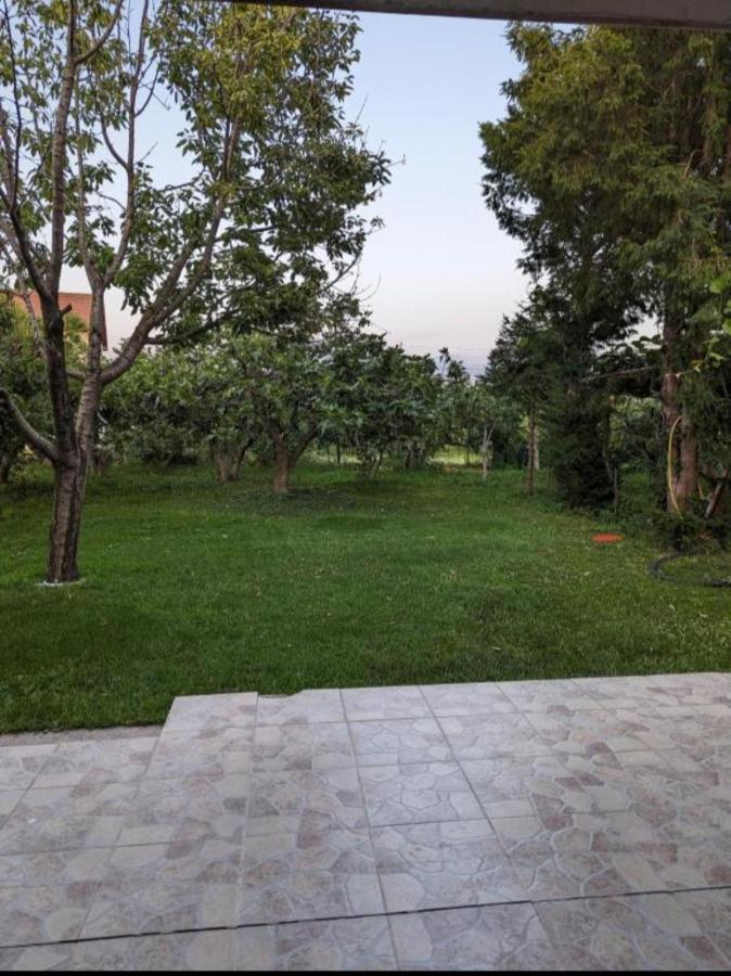 Apartment Filipovic 波德戈里察 外观 照片