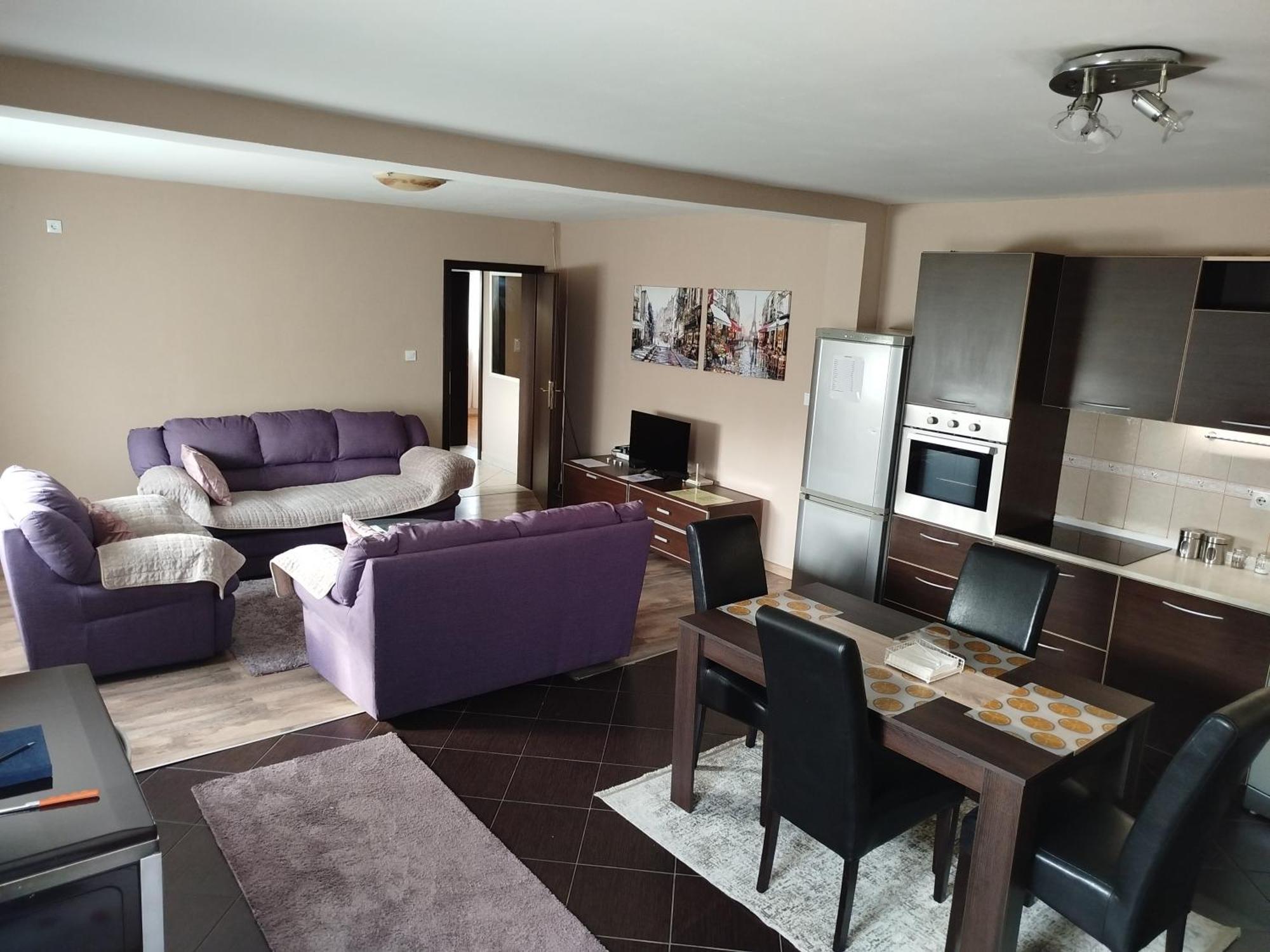 Apartment Filipovic 波德戈里察 外观 照片